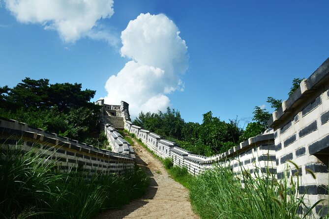 Suwon Hwaseong + Purple Flower(Azalea) + Cherry Blossom - What to Expect on This Tour