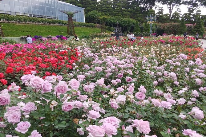 Beartree Park With Admission Ticket to Arboretum in Sejong - Accessibility and Restrictions