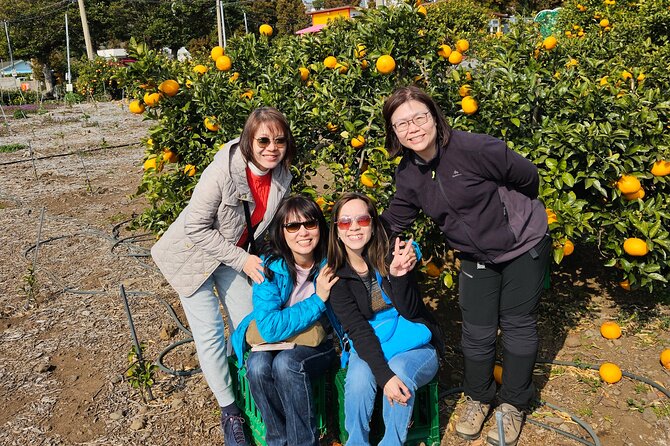 Full-Day Private Tour in Jeju Island - Reviews From Past Travelers