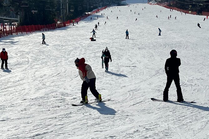 Full Day Ski Tour From Seoul to Yongpyong Ski Resort - Important Policy Information