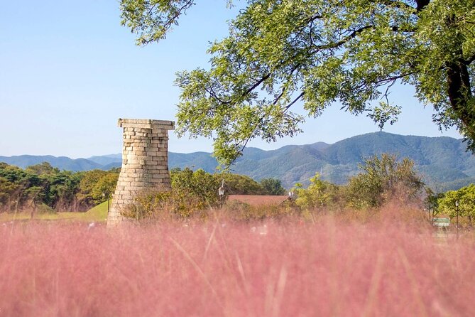 Full-Day Small Group Gyeongju History Tour From Seoul - Cancellation and Refund Policy