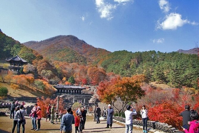 Full-Day Suncheon Bay Garden and Samseonggung Palace With Lunch - Important Tour Information