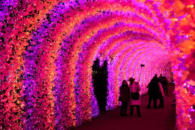 Hwacheon Sancheoneo Ice Festival X Garden of Morning Calm Lighting Festival - Experience Highlights and Schedule