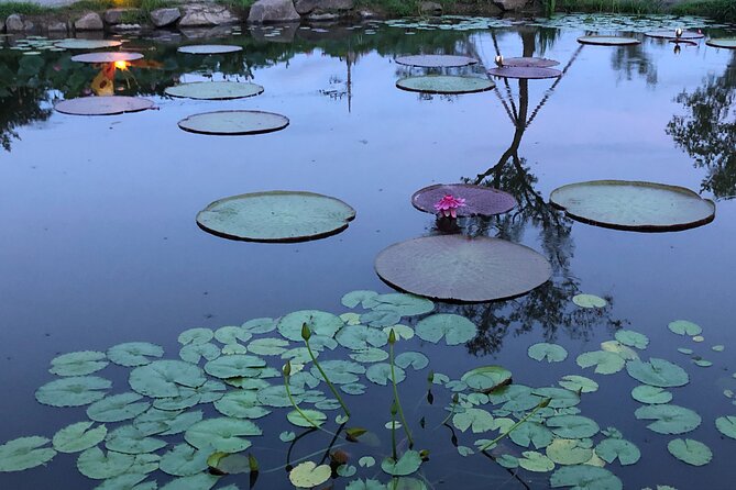 Lotus Festival in Buyeo and Jeonju Hanok Village Tour From Seoul - Meeting and Pick-up Details