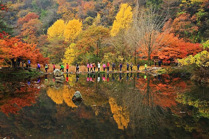 Mt. Naejang Autumn Foliage and Jeonju Hanok Village 1 Day Tour - Discovering Jeonju Hanok Village