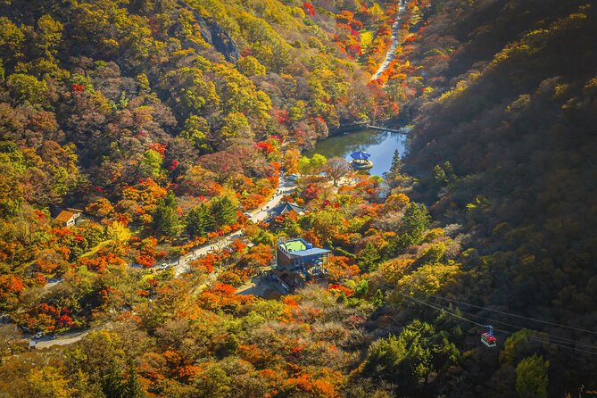 Mt. Naejang Sightseeing Trip From Seoul - Preparing for Your Adventure