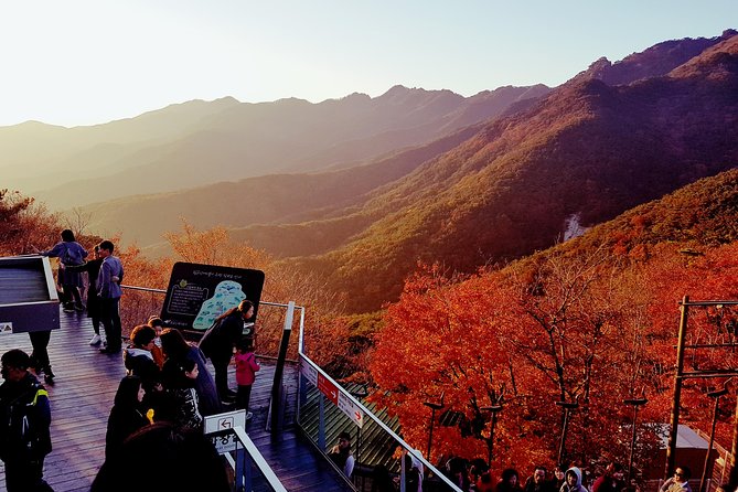 Palgongsan Natural Park Autumn Foliage One Day Tour From Busan - One Day Itinerary Highlights