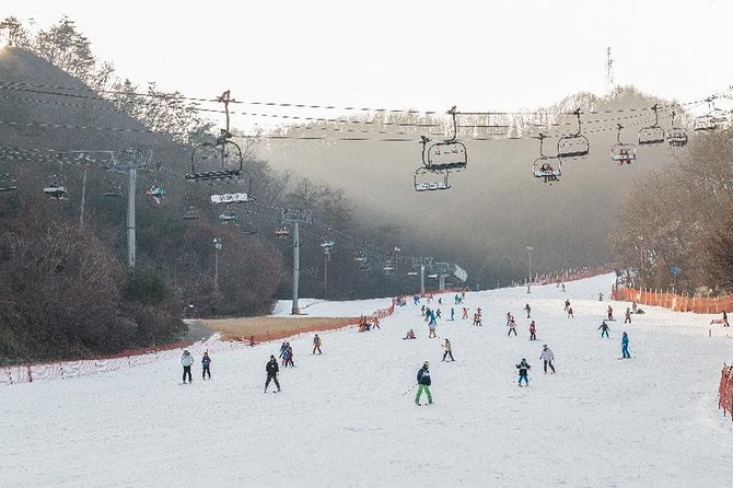 [Private Tour] Nami Island & Ski (Ski Lesson, Equip & Clothing Included) - Safety Guidelines and Restrictions