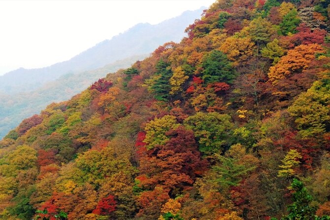 Scenic Jiri Mountain Autumn Foliage One Day Tour - Getting Ready for the Tour