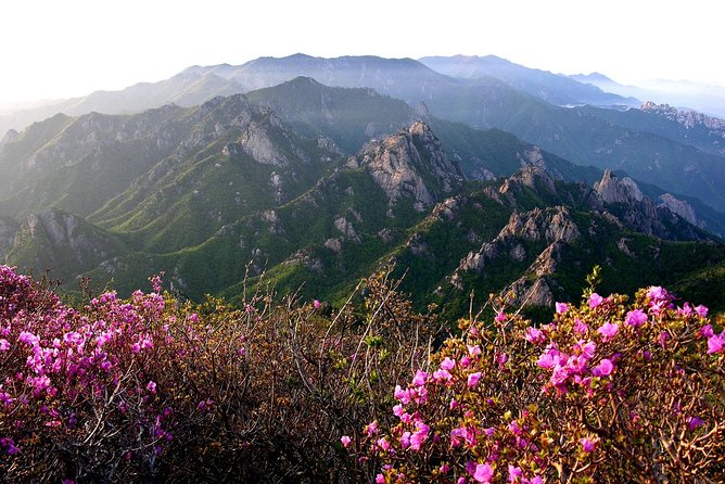 Seoraksan Daecheongbong(1,708m) Peak Hiking [1-Day Tour From Seoul] - Pricing and Refund Policy