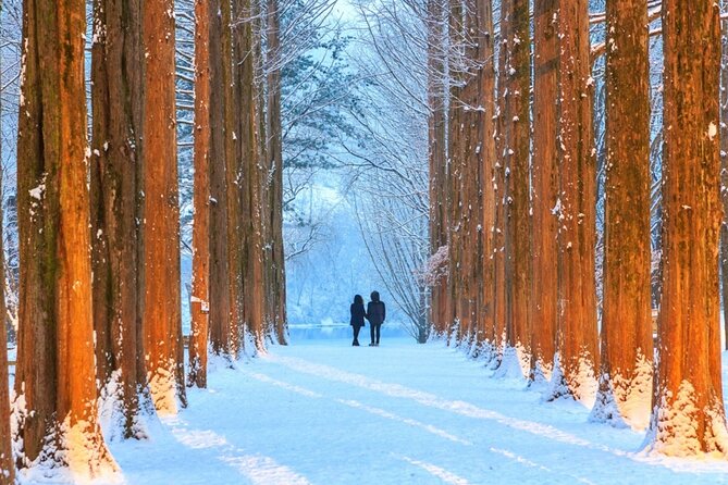 Shared Korean Winter Tour at Nami Island With Professional Guide - Tour Details and Accessibility