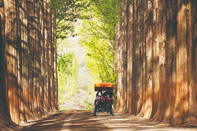 Special Private Tour Nami Island, Rail Bike, Petite France - Reviews and Ratings From Travelers