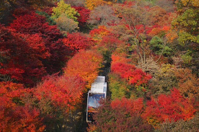 Suwon Hwaseong + Purple Flower(Azalea) + Cherry Blossom - Meeting and Pickup Information