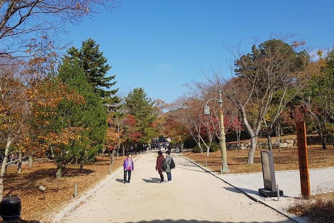 The Ancient City of Brilliant Shilla Kingdom - Gyeongju in One Day( or Overnite) - Tips for a Smooth Journey