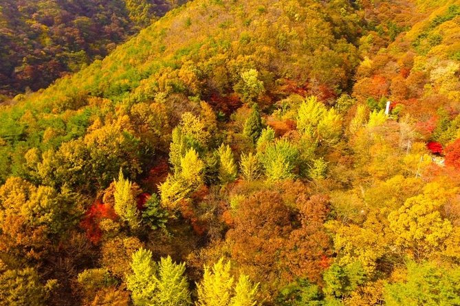 The Beauty of the Korea Fall Foliage Discover 9days 8nights - Pricing and Group Discounts