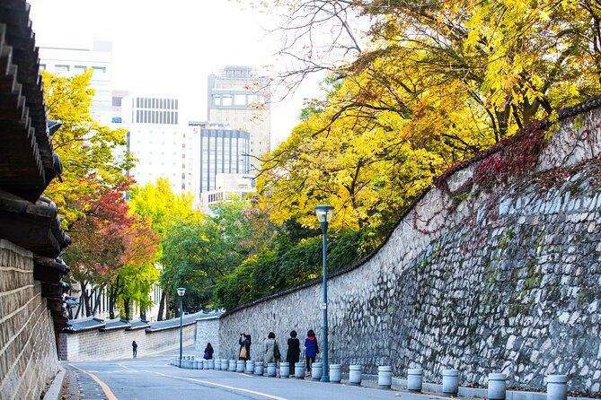 Best View Seoul Autumn Foliage Tour - Tour Schedule and Timeline