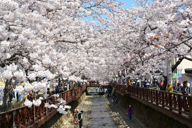 Full-Day Jinhae Cherry Blossom Festival Private Tour - Tour Inclusions