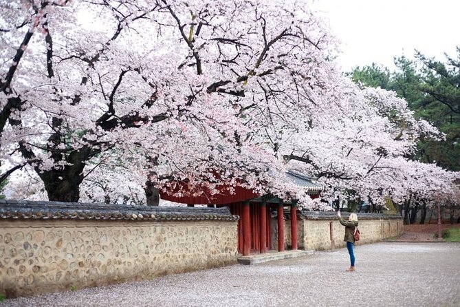 Full-Day Small Group Gyeongju History Tour From Seoul - Traveler Requirements and Notes