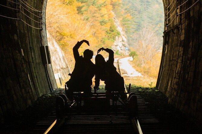 Full Day Strawberry Picking and Rail Bike in Nami Island - Making the Most of Your Day