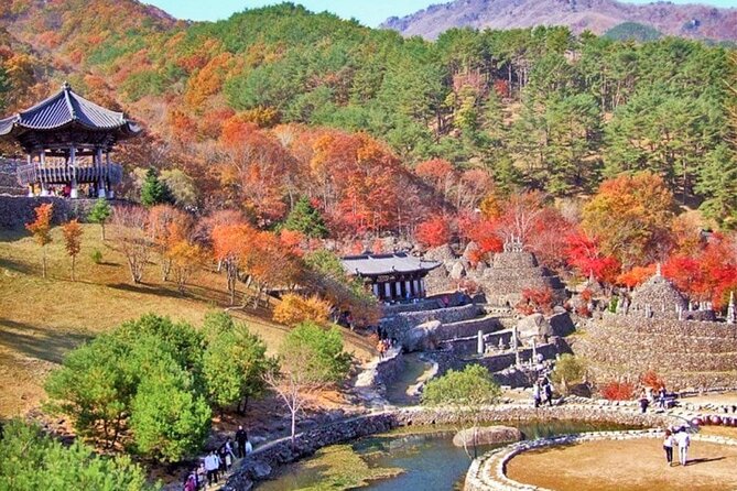 Full-Day Suncheon Bay Garden and Samseonggung Palace With Lunch - Booking and Cancellation Policy