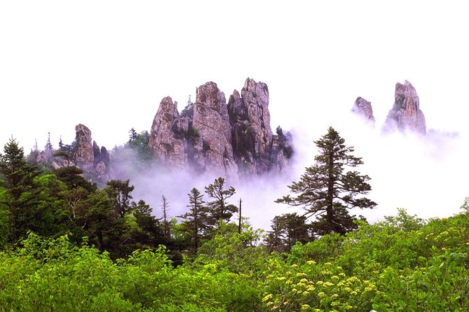 Mount Seorak and Sokcho Customizable Private Tour - Preparing for Your Adventure