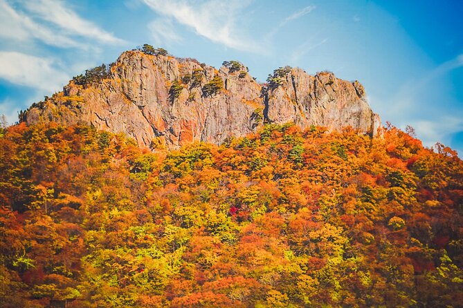 Mt. Naejang Sightseeing Trip From Seoul - Making the Most of Your Day