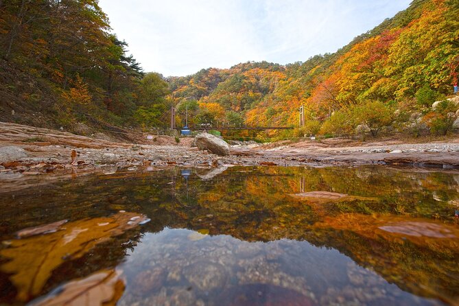 Mt. Seorak & The Tallest Ginko Tree at Yongmunsa - Booking and Cancellation Policies