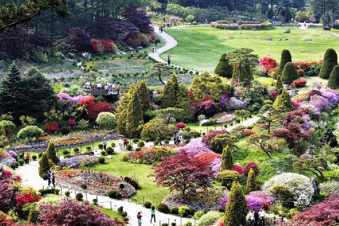 Nami Island Petit France Bus Tour - Important Notes and Reminders