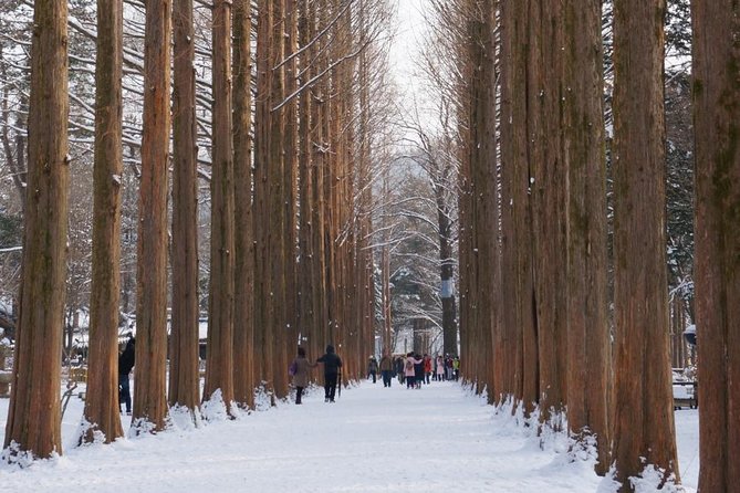 [Private Tour] Nami Island & Ski (Ski Lesson, Equip & Clothing Included) - Booking and Cancellation Policies