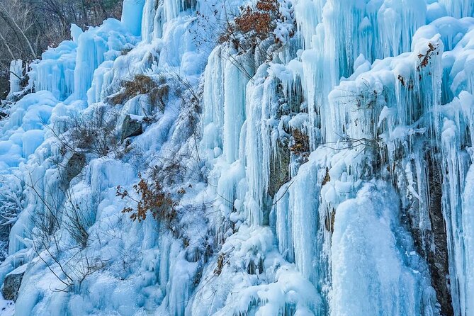 Shared Korean Winter Tour at Nami Island With Professional Guide - Booking and Payment Options