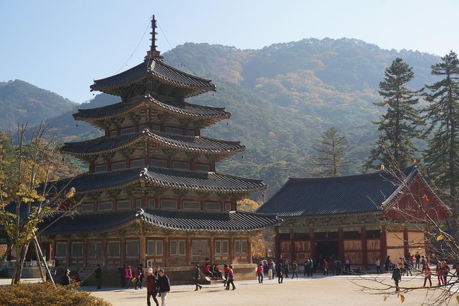 Songnisan National Park & Beopjusa Temple UNESCO Site Private Tour - Cancellation and Refund Policy