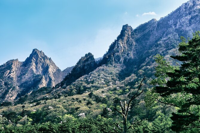 Special Private Tour Mt. Seorak, Gwongeum Fortress, Naksan Beach - Important Tour Details