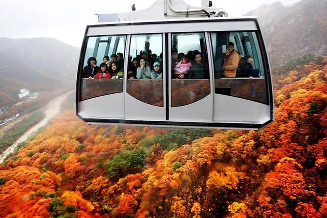 Autumn Limited: Seoraksan X Maple Mountain Cable Car Tour - Tour Operator and Reviews