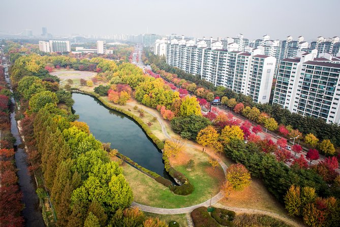 Best View Seoul Autumn Foliage Tour - Tips for Making the Most