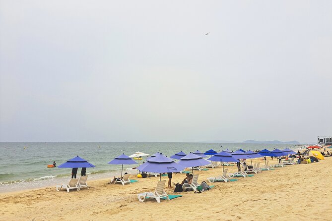 Boryeong Mud Festival + Daecheon Beach + Suspension Bridge Tour - Essential Tips and Reminders