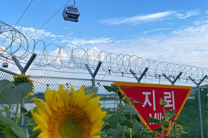 Cost-Benefit DMZ Shuttle Bus Tour : Vehicle, English Staff - Traveler Reviews and Ratings