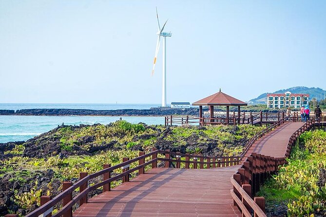 Full-Day Jeju Island WEST Tour (Entrance Fee Included) - Guide and Vehicle Information