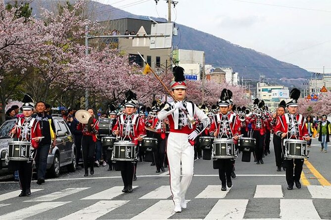 Full-Day Jinhae Cherry Blossom Festival Private Tour - Essential Tour Details