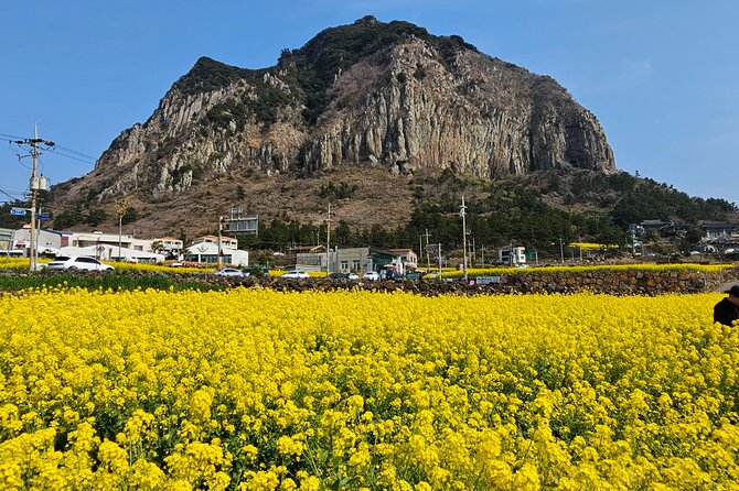 Full-Day Private Tour in Jeju Island - Making the Most of Your Day