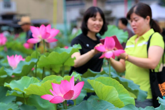 Lotus Flowers and Sunflower Field Tour From Busan - Pricing and Group Discounts