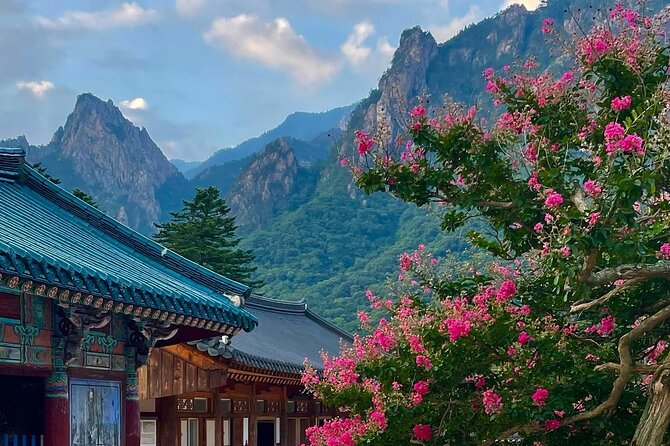 Mt. Seorak & The Tallest Ginko Tree at Yongmunsa - Getting the Best Out of Your Trip