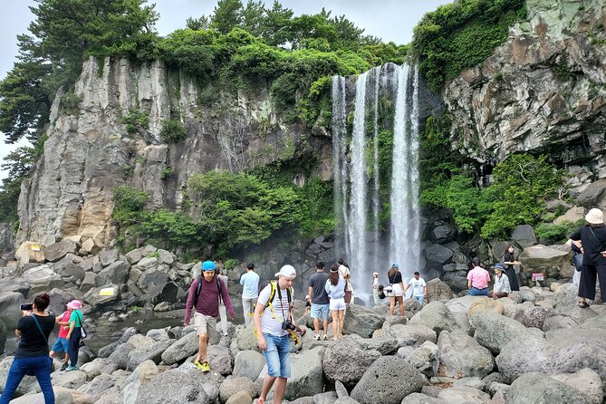 Private Half Day South and West Tour in Jeju Island - Booking and Cancellation Terms