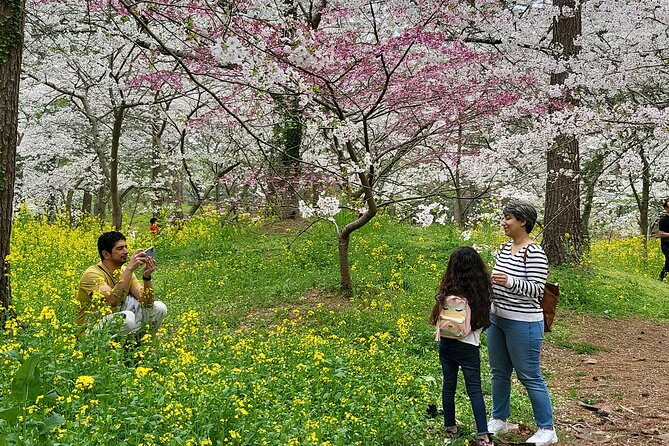 Private Tour in Ossulloc Tea Fam and Hanrim Park in Jeju Island - Traveler Requirements and Notes