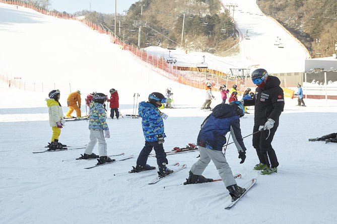 [Private Tour] Nami Island & Ski (Ski Lesson, Equip & Clothing Included) - Tour Logistics and Operations