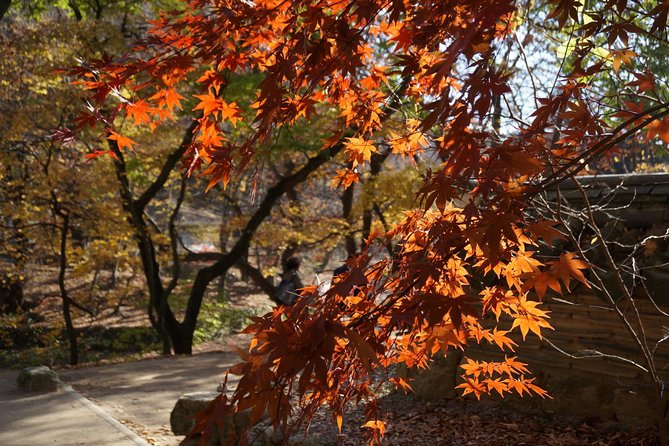 Songnisan National Park & Beopjusa Temple UNESCO Site Private Tour - Reviews and Testimonials