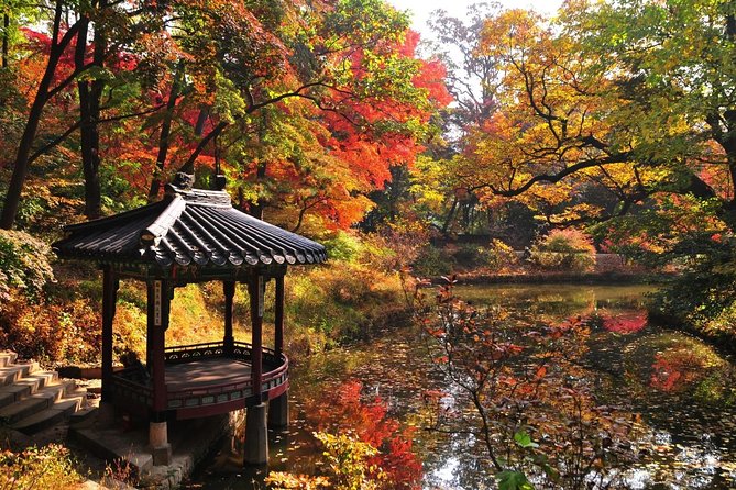 The Beauty of the Korea Fall Foliage Discover 9days 8nights - Exploring Koreas Hidden Gems