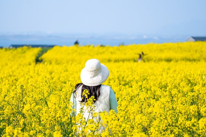 UNESCO Private Guided Culture and Nature Tour in JeJu Island - Pre-Tour Preparation Essentials