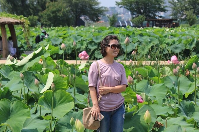 Lotus Flowers and Sunflower Field Tour From Busan - Booking and Meeting Details