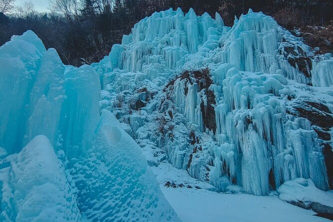 Shared Korean Winter Tour at Nami Island With Professional Guide - Essential Travel Information