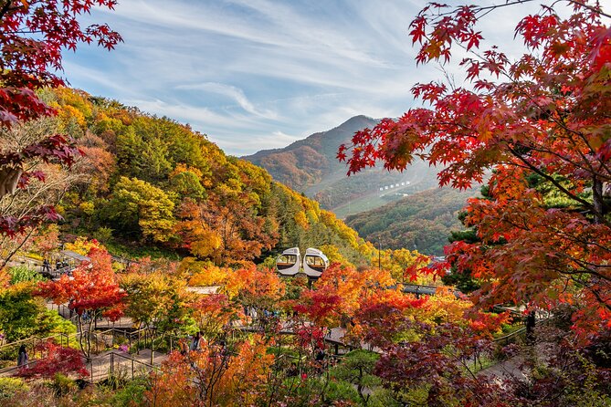 Best View Seoul Autumn Foliage Tour - Just The Basics